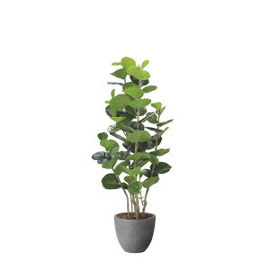 i`V[O[v1.6 2402A480 W60×D55×H160cmy2024N lHϗtA ̊y  tFCN rO  A[gt[ CeAO[z