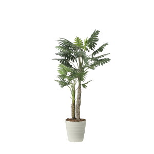 Z[W1.8 2441A360 W90×D80×H180cmy2024N lHϗtA ̊y  tFCN rO  A[gt[ CeAO[z