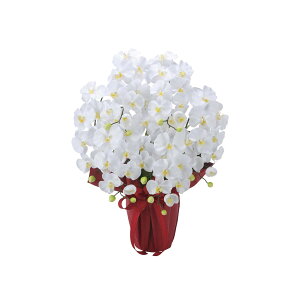 GKgӒ7{W 2445A100 W53×D40×H68cmy2024N lHϗtA ̊y  tFCN rO  A[gt[ CeAO[z