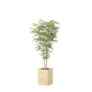 Ebh{bNXglR~bNX1.8 2457A620 W90×D80×H180cmy2024N lHϗtA ̊y  tFCN rO  A[gt[ CeAO[z