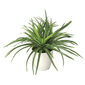 hZi 245K45 W40×D40×H32cmy2024N lHϗtA ̊y  tFCN rO  A[gt[ CeAO[z