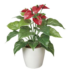 tbVAX[M 390A60 W38×D38×H43cmy2024N lHϗtA ̊y  tFCN rO  A[gt[ CeAO[z