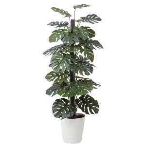 Xe 1.8 403G450 W60×D60×H180cmy2024N lHϗtA ̊y  tFCN rO  A[gt[ CeAO[z