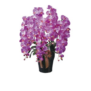 CӒ5{L 446A300 W60×D50×H76cmy2024N lHϗtA ̊y  tFCN rO  A[gt[ CeAO[z