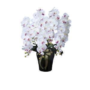 CӒ5{W^AB 447A300 W60×D50×H76cmy2024N lHϗtA ̊y  tFCN rO  A[gt[ CeAO[z