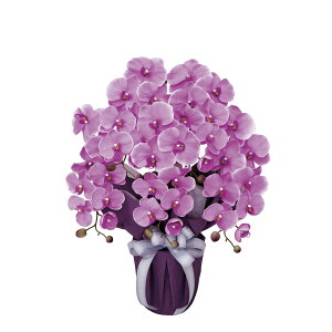 GKgӒ5{L 453A80 W50×D35×H64cmy2024N lHϗtA ̊y  tFCN rO  A[gt[ CeAO[z