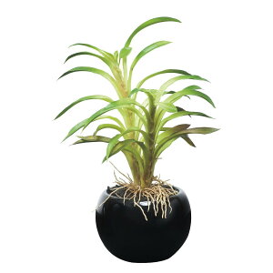 JN^XC|bg(|) 521A25 W14×D14×H20cmy2024N lHϗtA ̊y  tFCN rO  A[gt[ CeAO[z