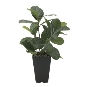 �p���̖� 636A50 W35×D35×H45cm�y2024�N�� �l�H�ϗt�A�� ���̊y�� ���� �t�F�C�N ���r���O ���� �A�[�g�t�����[ �C���e���A�O���[���z