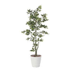 �t�B�J�X�c��?1.8 822K400 W70×D70×H180cm�y2024�N�� �l�H�ϗt�A�� ���̊y�� ���� �t�F�C�N ���r���O ���� �A�[�g�t�����[ �C���e���A�O���[���z