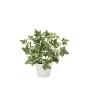 ACr? 834K30 W22×D22×H23cmy2024N lHϗtA ̊y  tFCN rO  A[gt[ CeAO[z