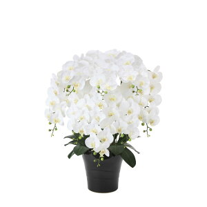 tbVӒ8{W 877A300 W60×D48×H75cmy2024N lHϗtA ̊y  tFCN rO  A[gt[ CeAO[z