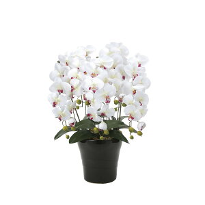 NC[Ӓ5{W^AB 916A150 W53×D50×H74cmy2024N lHϗtA ̊y  tFCN rO  A[gt[ CeAO[z