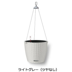 yfՁz`[UGRm~[ Re[WEjh(J[FCgO[)ʒʟ󐅃Zbgt a27×23cm LE-6728MHyAv^[ hCc  ze Ԗڎdグ oRj