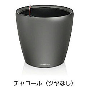 yfՁz`[Uv~A NVREW[J[21(}bgJ[F`R[)ʟ󐅃Zbgt a21×20cm LE-1021AJ-CyAv^[ hCc  ze ̂