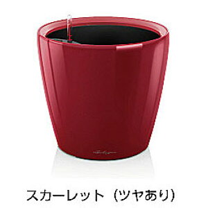 �y�����f�Ձz���`���[�U�v���~�A�� �N���V�R60(���b�J�[�J���[�F�X�J�[���b�g)��ʟ󐅃Z�b�g�t�� ���a60×����56cm LE-1060K-1�y�A���v�����^�[ �h�C�c�� ������� �z�e�� ���̂��߂��h�~ ��