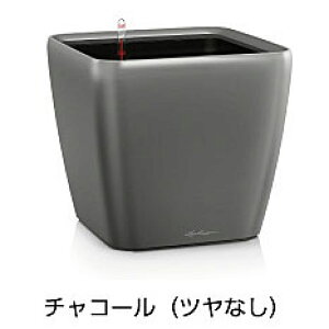 yfՁz`[Uv~A NAhEW[J[21(}bgJ[F`R[)ʟ󐅃Zbgt 21×s21×20cm LE-2021AJ-CyAv^[ hCc  ze ̂