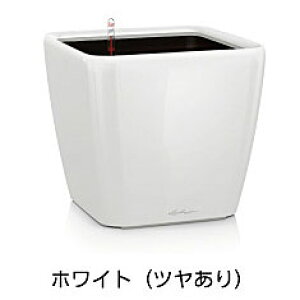 yfՁz`[Uv~A NAhEW[J[21(bJ[J[FzCg)ʟ󐅃Zbgt 21×s21×20cm LE-2021AJ-WyAv^[ hCc  ze ̂