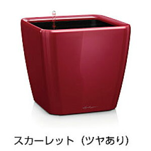 yfՁz`[Uv~A NAhEW[J[50(bJ[J[FXJ[bg)ʟ󐅃Zbgt 50×s50×47cm LE-2050AJ-KyAv^[ hCc  ze 