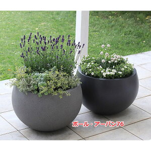 yfՁz}t@Co[ {[EA[o76 a76×50cm MF-1970-076Uy}cI}t@Co[RNV ^v^[ Aؔ GFRP A  O z