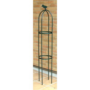 ~jIxXN ArI120H 1P[X(6Zbg) 224yK[f K[fjO A |pi  z