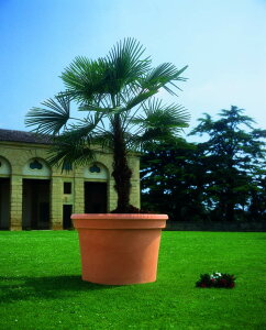 yfՁzVh a90×63cm ER-2163y[X[vXg GgARNV ^ vX`bN A C^A  ze O  z