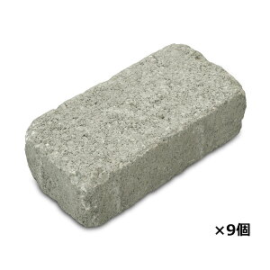 VvubN C 9 EL-9 20×10×6cmyYi ~ Ԓd K ubN K[f Av[` ԑ RN[gz