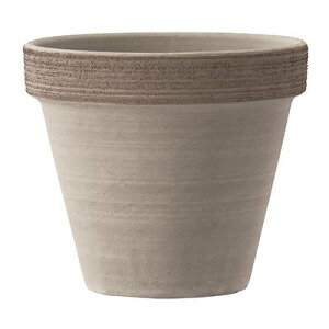 �X�^���_�[�h�|�b�g �R�[�q�[�X�N���b�`M 27cm 6�Z�b�g DR-0127J 8027284031850�y�K�[�f�� �v�����^�[ �|�b�g �� ������� �� �X�� ���| �C���e���A �G�N�X�e���A �O���[���|�b�g�z