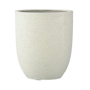 rAX AgGbO AC{[31×36.5cm 1Zbg EB-PL239031IV 8935078026978yK[f v^[ |bg    X | CeA GNXeA O[|bgz