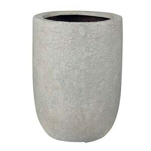 @Cg g[Eh N[ 32cm 1Zbg EB-VL3245CR 8935078022581yK[f v^[ |bg    X | CeA GNXeA O[|bgz