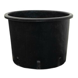 i[Z[|bg [^Cv 26cm 10Zbg PQ-NL26 4573276850243yK[f v^[ |bg    X | CeA GNXeA O[|bgz