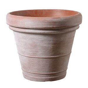 {h[ eRb^ 85cm 1Zbg TP-TM85TC 8051560052772yK[f v^[ |bg    X | CeA GNXeA O[|bgz