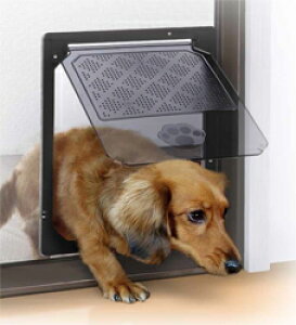 Lo ^p(MTCY) PD3035yJ@c29cm×26cm ubN  Ԍ˗p ybg NNJ ^JYƁz