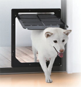 Lo ^p(LTCY) PD3742yJ@c34cm×31cm ubN  Ԍ˗p ybg NNJ ^JYƁz