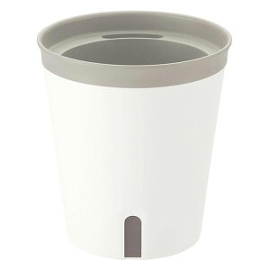 ~GmPlus |bg 13^N zCgyv^[ |bg A | v^[z