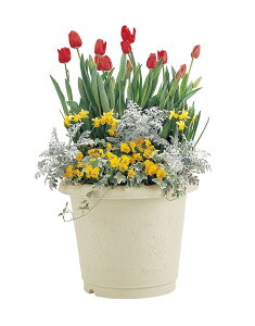  v^[ AC{[ 32^ iAؔjyg̗ǂی`Aؔz