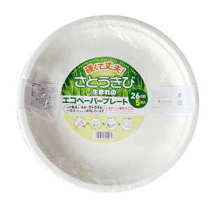 GRy[p[v[g 26cm 5yM ĝ TgELr oKX e e AEghAz
