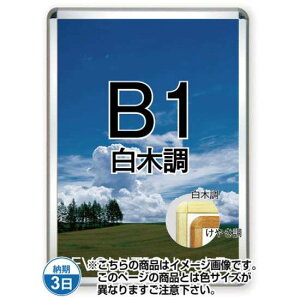 |X^[Obv32R(p) B1ؒ TSK-PG-32R-B1S(N)yt[TCYW778×H1080mm t[32mm pۃ^Cv |X^[t[ ֐Hz