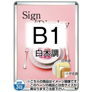 |X^[Obv32R(OpEpbNV[g) B1ؒ TSK-PG-32R-B1S(P)yt[TCYW788×H1090mm t[32mm pۃ^Cv |X^[t[ ֐Hz