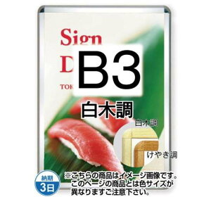 |X^[Obv32R(Op) B3ؒ TSK-PG-32R-B3S(G)yt[TCYW414×H565mm t[32mm pۃ^Cv |X^[t[ ֐Hz