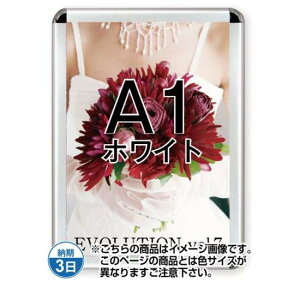 |X^[Obv44R(p) A1zCg TSK-PG-44R-A1W(N)yt[TCYW645×H892mm t[44mm pۃ^Cv |X^[t[ ֐Hz