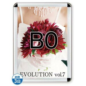 |X^[Obv44R(p) B0Vo[ TSK-PG-44R-B0C(N)yt[TCYW1081×H1507mm t[44mm pۃ^Cv |X^[t[ ֐Hz