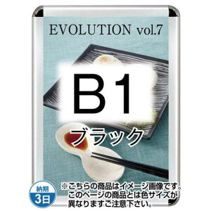 |X^[Obv44R(OpEpbNV[g) B1ubN TSK-PG-44R-B1B(P)yt[TCYW788×H1090mm t[44mm pۃ^Cv |X^[t[ ֐Hz