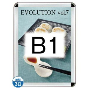 |X^[Obv44R(OpEpbNV[g) B1Vo[ TSK-PG-44R-B1C(P)yt[TCYW788×H1090mm t[44mm pۃ^Cv |X^[t[ ֐Hz