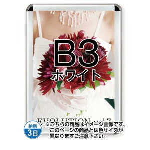 |X^[Obv44R(p) B3zCg TSK-PG-44R-B3W(N)yt[TCYW415×H566mm t[44mm pۃ^Cv |X^[t[ ֐Hz