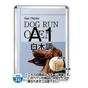 |X^[Obv44S(Op) A1ؒ TSK-PG-44S-A1S(G)yt[TCYW645×H892mm t[44mm pp^Cv |X^[t[ ֐Hz