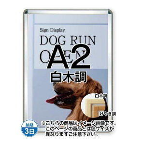 |X^[Obv44S(Op) A2ؒ TSK-PG-44S-A2S(G)yt[TCYW471×H645mm t[44mm pp^Cv |X^[t[ ֐Hz