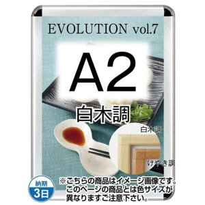 |X^[Obv44S(OpEpbNV[g) A2ؒ TSK-PG-44S-A2S(P)yt[TCYW480×H654mm t[44mm pp^Cv |X^[t[ ֐Hz