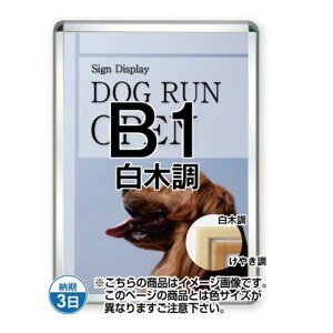 |X^[Obv44S(p) B1ؒ TSK-PG-44S-B1S(N)yt[TCYW779×H1081mm t[44mm pp^Cv |X^[t[ ֐Hz