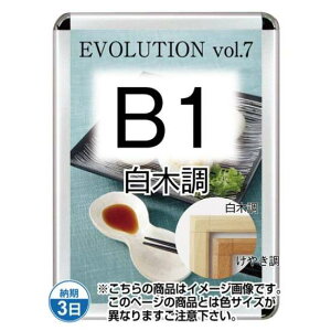 |X^[Obv44S(OpEpbNV[g) B1ؒ TSK-PG-44S-B1S(P)yt[TCYW788×H1090mm t[44mm pp^Cv |X^[t[ ֐Hz