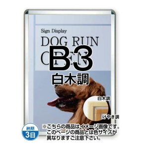 |X^[Obv44S(p) B3ؒ TSK-PG-44S-B3S(N)yt[TCYW415×H566mm t[44mm pp^Cv |X^[t[ ֐Hz